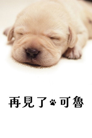 再見了，可魯