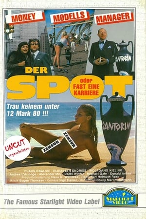 Poster Der Spot oder Fast eine Karriere 1981