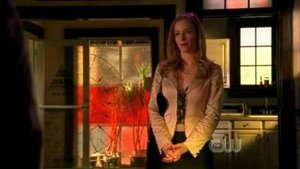 Veronica Mars: Stagione 3 x Episodio 10