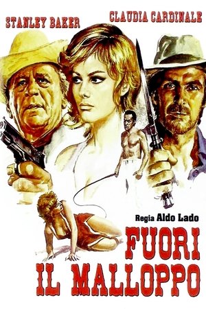 Poster Fuori il malloppo 1971