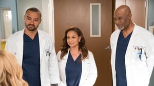 Grey’s Anatomy: Stagione 14 – Episodio 16