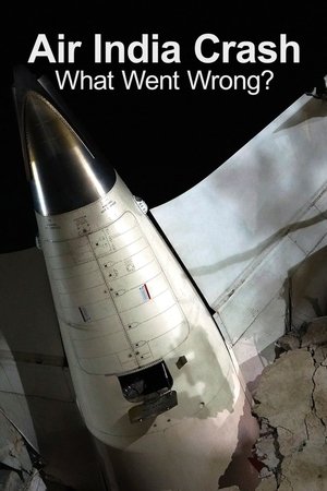Air India Crash: What Went Wrong?