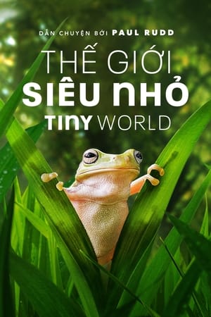 Image Thế Giới Siêu Nhỏ - Tiny World