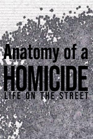 Poster Anatomy of a 'Homicide: Life on the Street' (1998)