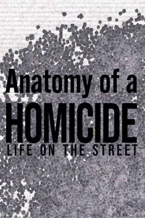 Poster Anatomy of a 'Homicide: Life on the Street' 1998