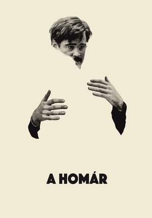 Image A homár