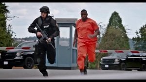 S.W.A.T. Under Siege Película Completa HD 1080P [MEGA] [LATINO]