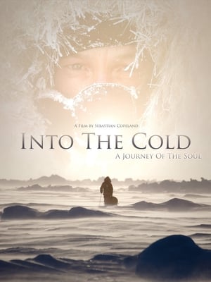 Poster Into the Cold: A Journey of the Soul 2010
