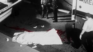 Law & Order: Criminal Intent Cadaver