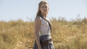 Westworld: 2×1