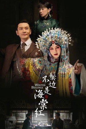 pelicula 鬓边不是海棠红 (2020)