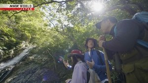 Journeys in Japan: 14×11