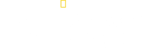 Prairie Dog Manor — Logos 1