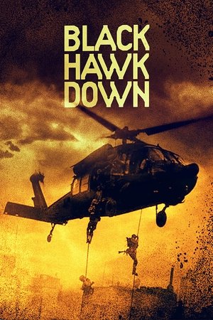 poster Black Hawk Down