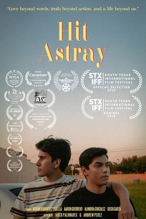 Hit Astray 3