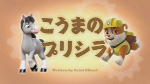 こうまのプリシラ