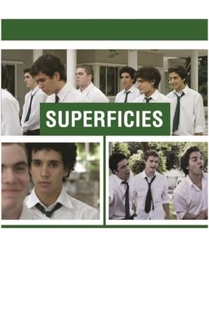 Poster Superficies (2013)