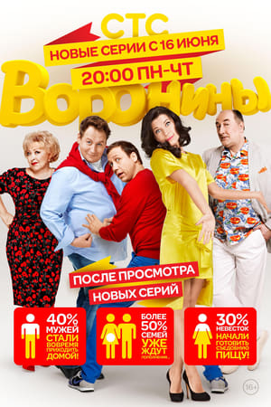 Poster Воронины Season 5 2010