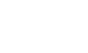 Vaali — Logos 1