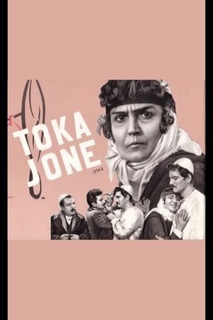 Poster Toka jonë 1964