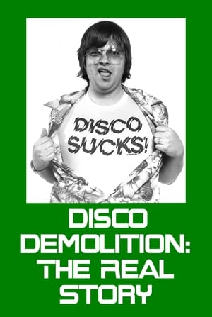 Poster Disco Demolition: The Real Story (2004)