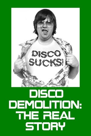 Image Disco Demolition: The Real Story