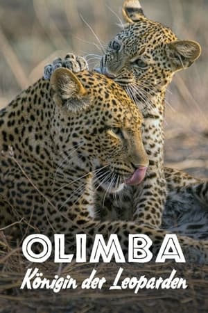 Poster Olimba, Königin der Leoparden 2020