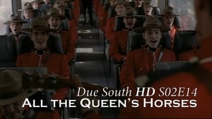 Due South All the Queen's Horses