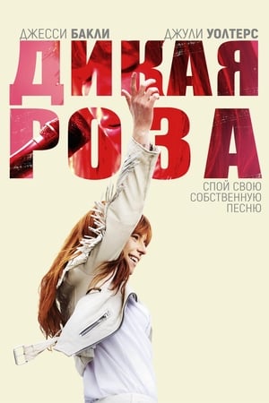 Poster Дикая Роза 2019