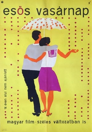 A Rainy Sunday poster