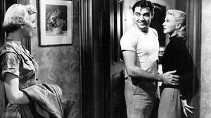 Storm Warning (1951)