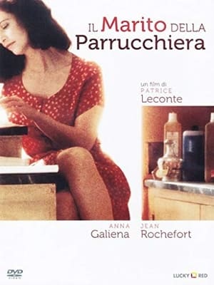 Poster Il marito della parrucchiera 1990