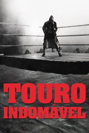 Poster O Touro Enraivecido 1980