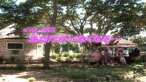 Episode 255