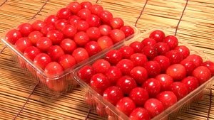 Journeys in Japan: 12×21