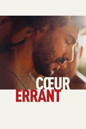 Image Cœur errant