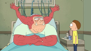 Rick and Morty: 8×9