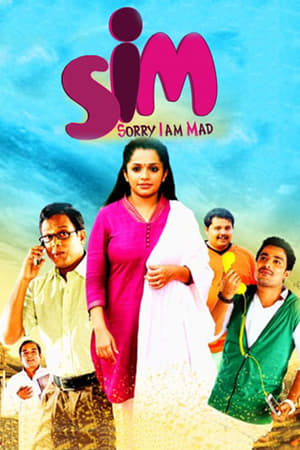 Poster SIM (2013)