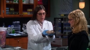 The Big Bang Theory: Stagione 5 x Episodio 8