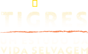 Counting Tigers — Logos 5