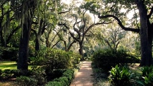 Ghost Adventures The Myrtles Plantation