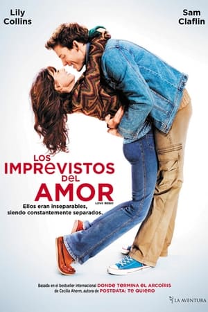 Poster Los imprevistos del amor 2014