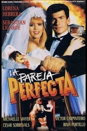 Poster The Perfect Couple 1991