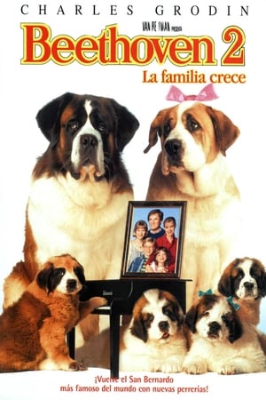 Poster Beethoven 2: La familia crece 1993