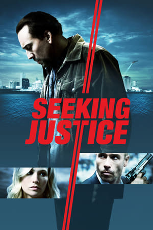 Poster Seeking Justice 2011