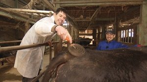 Japanology Plus: 6×8