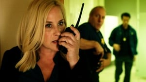 Ver CSI: Cyber 2×7 Temporada 2 Capitulo 7 Online