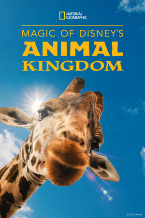 Poster Magic of Disney's Animal Kingdom 2020