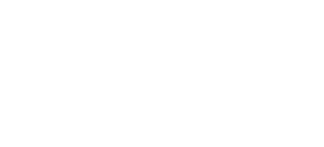The Wedding Factory — Logos 4