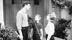 The Andy Griffith Show Opie's Rival